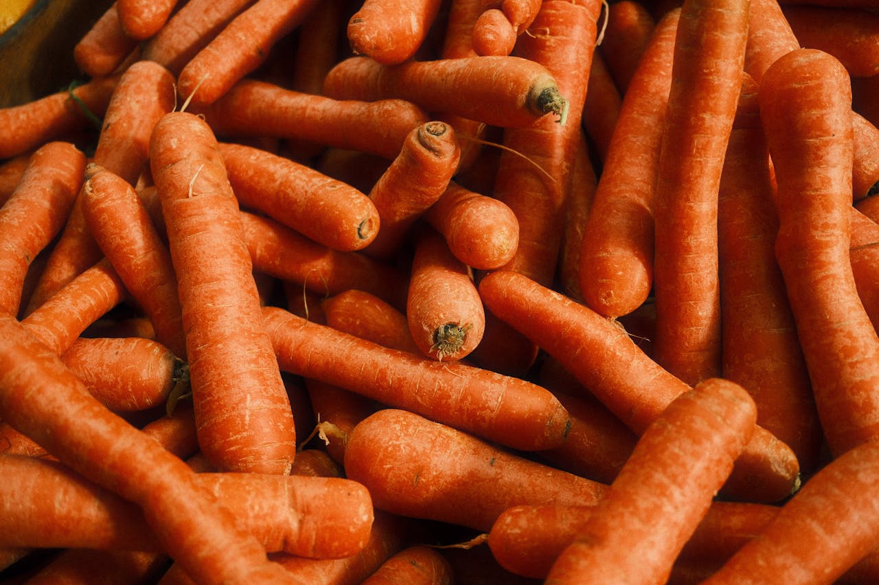 services-06 Vibrant close-up shot of fresh orange carrots highlighting their texture and color.